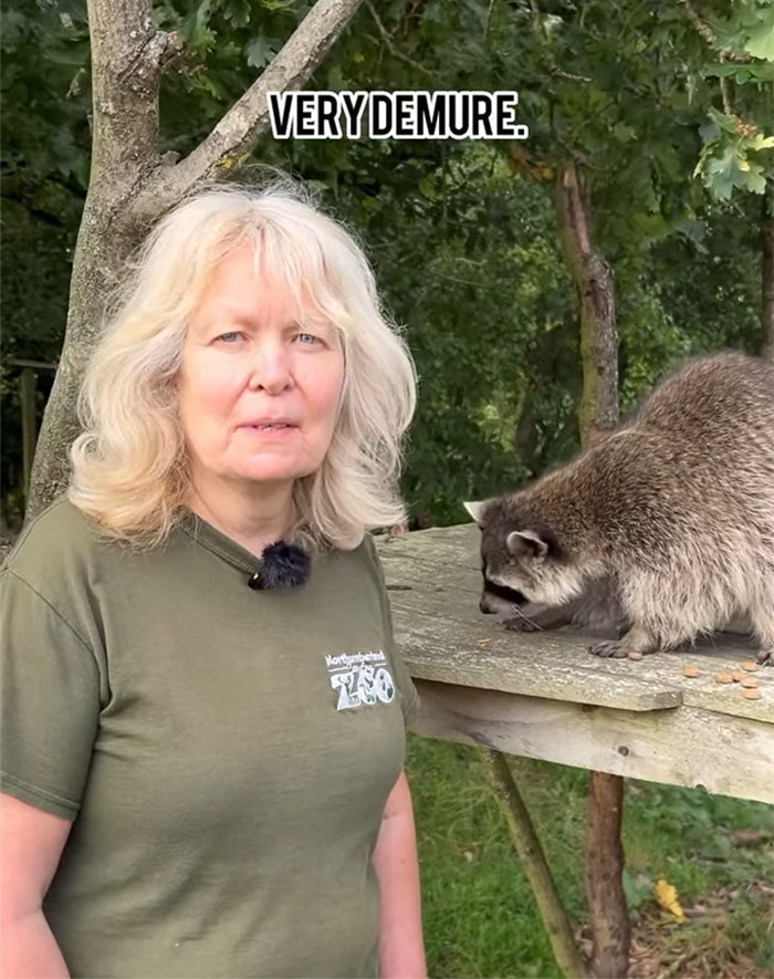 Boomer Couple’s “Gen Z Style” Tour Of Zoo Goes Viral, People Call It “Marketing Genius”