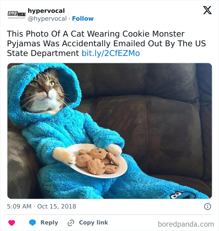 50 Random And Unhinged Emails People Actually Sent 50 Random And Unhinged Emails People Actually Sent