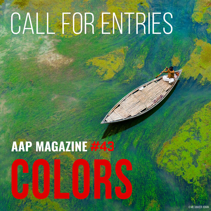 Launch Colors Photo Contest