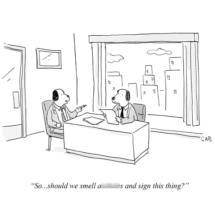 If You Like An Absurd Sense Of Humor, You Might Like These 21 Cartoons By Mat Barton (New Pics) If You Like An Absurd Sense Of Humor, You Might Like These 21 Cartoons By Mat Barton (New Pics)