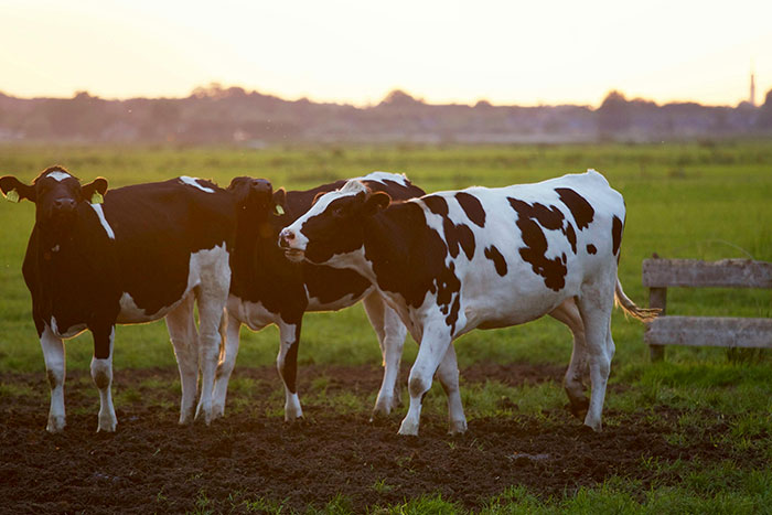 50 People Share The Most Bone-Chilling Medical Facts That Might Give You Goosebumps