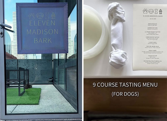 Owner Treats Her Dog To A 9-Course Meal At ‘Eleven Madison Bark’ For His 11th Birthday Owner Treats Her Dog To A 9-Course Meal At ‘Eleven Madison Bark’ For His 11th Birthday