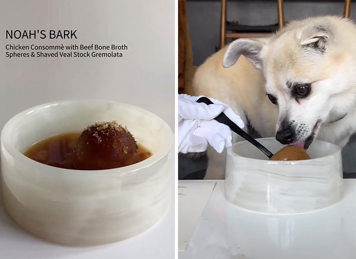 Owner Treats Her Dog To A 9-Course Meal At ‘Eleven Madison Bark’ For His 11th Birthday Owner Treats Her Dog To A 9-Course Meal At ‘Eleven Madison Bark’ For His 11th Birthday