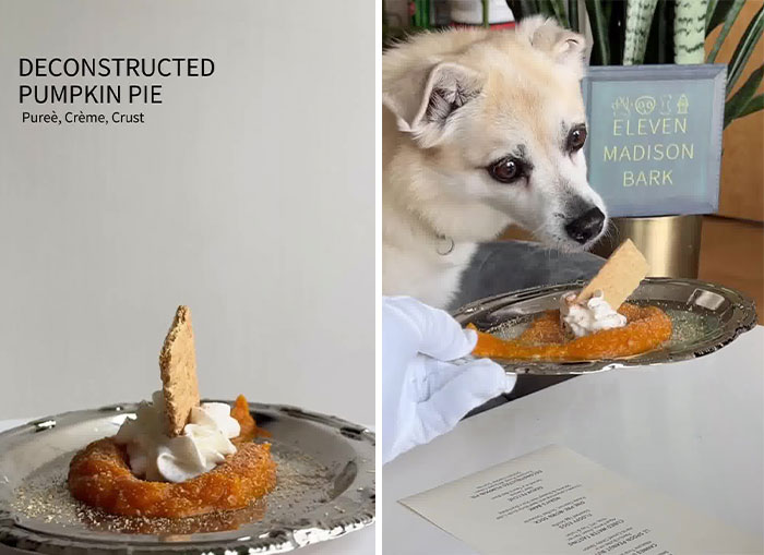 Owner Treats Her Dog To A 9-Course Meal At ‘Eleven Madison Bark’ For His 11th Birthday Owner Treats Her Dog To A 9-Course Meal At ‘Eleven Madison Bark’ For His 11th Birthday