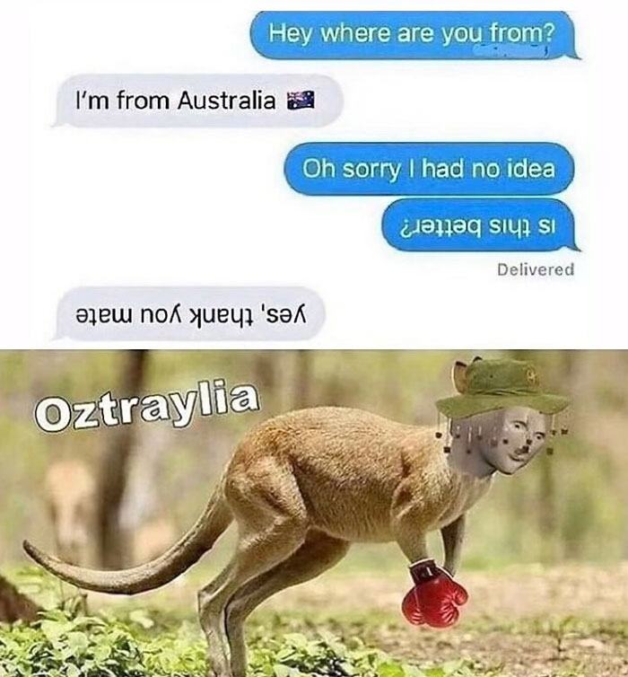 50 Random Memes To Share With A Random Person At The Bus Stop 50 Random Memes To Share With A Random Person At The Bus Stop