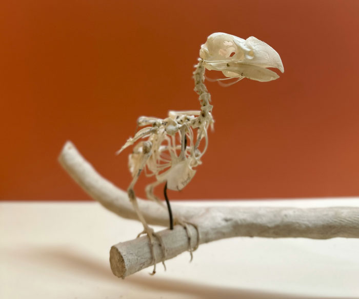 30 Fun Ice Breaker Facts People Use For A Lasting Impression 30 Fun Ice Breaker Facts People Use For A Lasting Impression