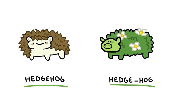 22 Illustrations Highlighting The Funny Differences Between Words That I Created