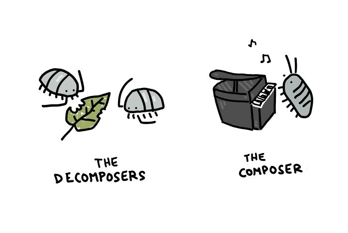 22 Illustrations Highlighting The Funny Differences Between Words That I Created