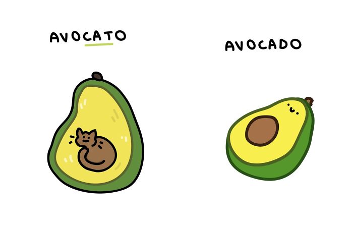 22 Illustrations Highlighting The Funny Differences Between Words That I Created
