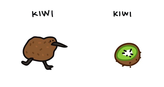 22 Illustrations Highlighting The Funny Differences Between Words That I Created