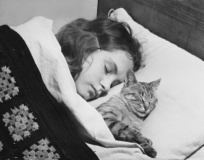50 Fascinating Historical Photos That Might Change Your Perspective On Cats, As Shared By This Twitter Page (New Pics)