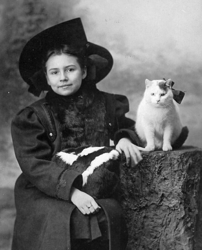 50 Fascinating Historical Photos That Might Change Your Perspective On Cats, As Shared By This Twitter Page (New Pics)