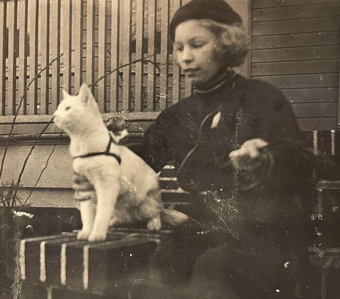 50 Fascinating Historical Photos That Might Change Your Perspective On Cats, As Shared By This Twitter Page (New Pics)