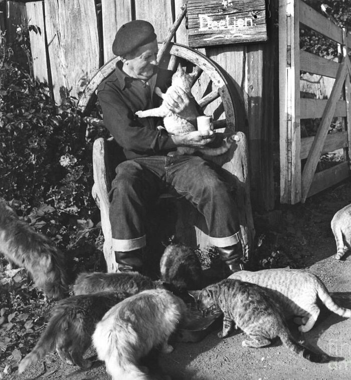 50 Fascinating Historical Photos That Might Change Your Perspective On Cats, As Shared By This Twitter Page (New Pics)