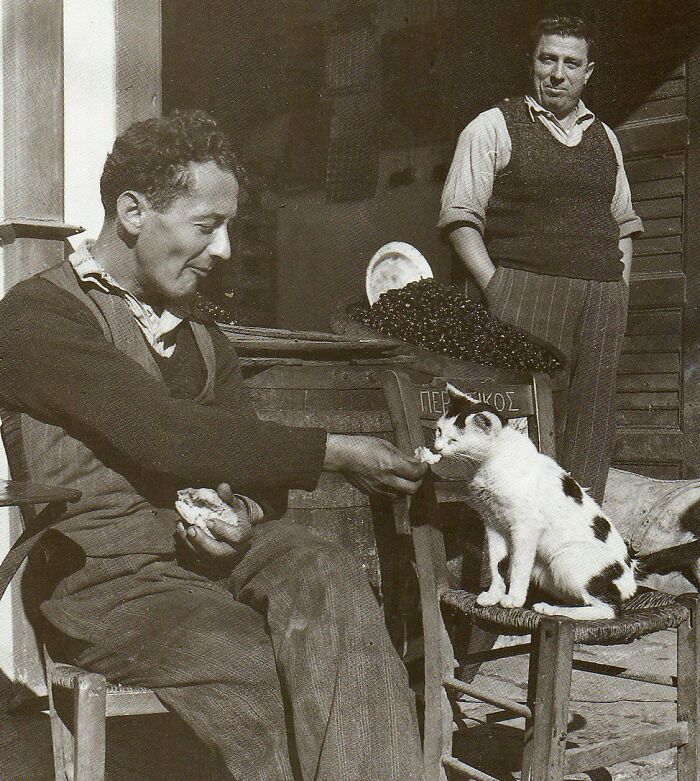 50 Fascinating Historical Photos That Might Change Your Perspective On Cats, As Shared By This Twitter Page (New Pics)