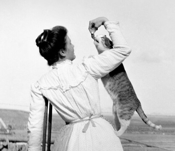 50 Fascinating Historical Photos That Might Change Your Perspective On Cats, As Shared By This Twitter Page (New Pics)