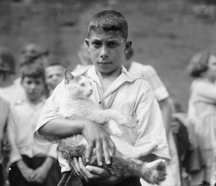 50 Fascinating Historical Photos That Might Change Your Perspective On Cats, As Shared By This Twitter Page (New Pics)