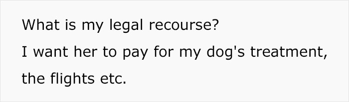 Dog Sitter’s Relaxed Attitude Leads To Pup Losing Eye And Leg, Owner Wants To Take Her To Court Dog Sitter’s Relaxed Attitude Leads To Pup Losing Eye And Leg, Owner Wants To Take Her To Court