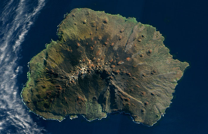 Officials Decide To Drop 600 Tons Of Pesticide On Island To Save Birds From Being Eaten Alive Officials Decide To Drop 600 Tons Of Pesticide On Island To Save Birds From Being Eaten Alive