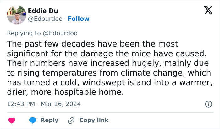 Officials Decide To Drop 600 Tons Of Pesticide On Island To Save Birds From Being Eaten Alive Officials Decide To Drop 600 Tons Of Pesticide On Island To Save Birds From Being Eaten Alive