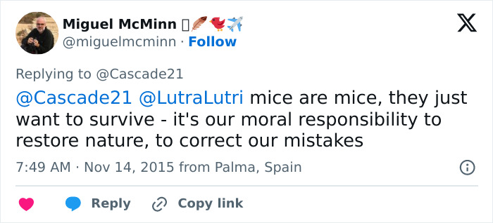 Officials Decide To Drop 600 Tons Of Pesticide On Island To Save Birds From Being Eaten Alive Officials Decide To Drop 600 Tons Of Pesticide On Island To Save Birds From Being Eaten Alive