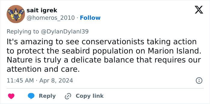 Officials Decide To Drop 600 Tons Of Pesticide On Island To Save Birds From Being Eaten Alive Officials Decide To Drop 600 Tons Of Pesticide On Island To Save Birds From Being Eaten Alive