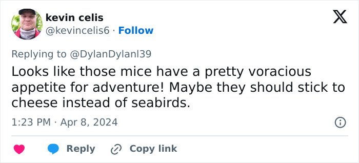 Officials Decide To Drop 600 Tons Of Pesticide On Island To Save Birds From Being Eaten Alive Officials Decide To Drop 600 Tons Of Pesticide On Island To Save Birds From Being Eaten Alive