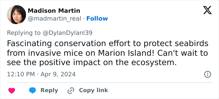 Officials Decide To Drop 600 Tons Of Pesticide On Island To Save Birds From Being Eaten Alive Officials Decide To Drop 600 Tons Of Pesticide On Island To Save Birds From Being Eaten Alive