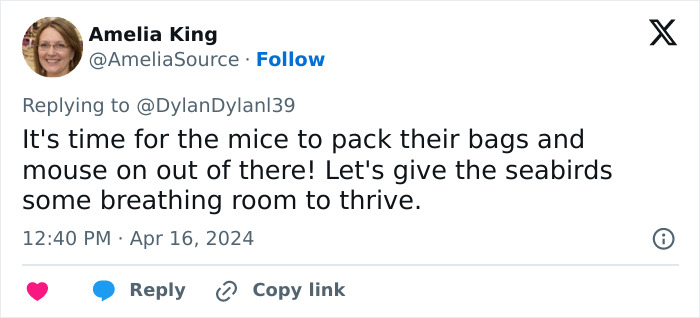 Officials Decide To Drop 600 Tons Of Pesticide On Island To Save Birds From Being Eaten Alive Officials Decide To Drop 600 Tons Of Pesticide On Island To Save Birds From Being Eaten Alive