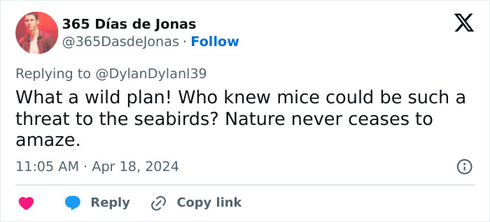 Officials Decide To Drop 600 Tons Of Pesticide On Island To Save Birds From Being Eaten Alive Officials Decide To Drop 600 Tons Of Pesticide On Island To Save Birds From Being Eaten Alive