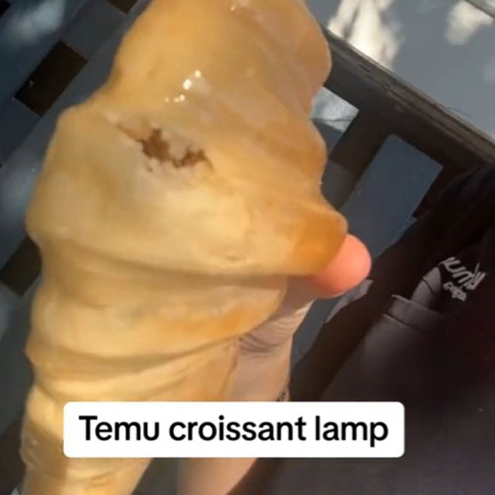 Stunned Woman Takes A Bite Out Of Her Temu Croissant Lamp, Turns Out “It’s Literally Food”