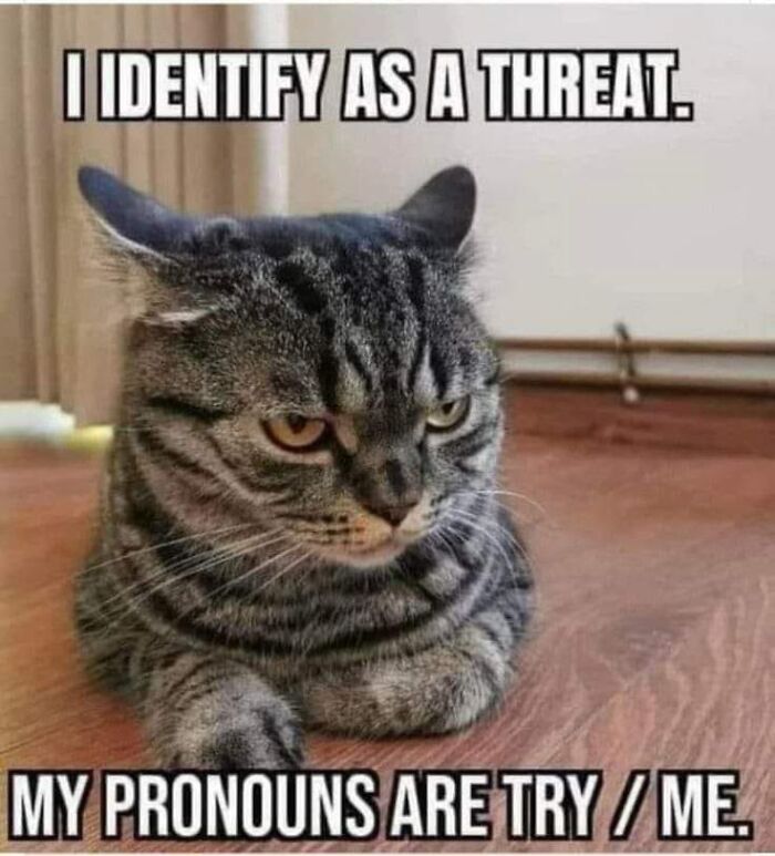 These 50 Chuckle-Worthy Images May Make You Spit Out Your Drink These 50 Chuckle-Worthy Images May Make You Spit Out Your Drink