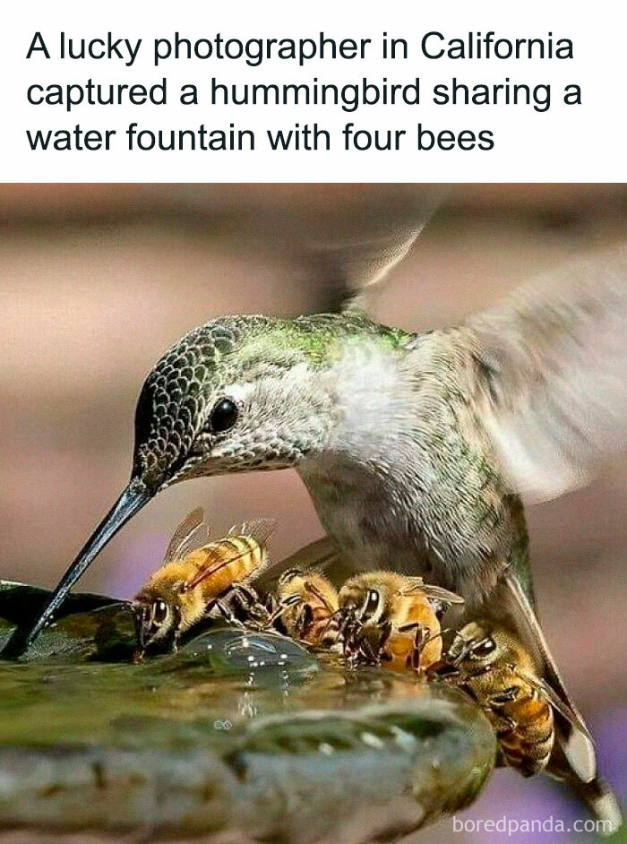 50 Wholesome Memes And Posts That Remind Us The World Isn’t All Bad 50 Wholesome Memes And Posts That Remind Us The World Isn’t All Bad