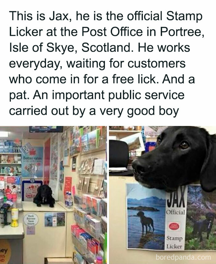 50 Wholesome Memes And Posts That Remind Us The World Isn’t All Bad 50 Wholesome Memes And Posts That Remind Us The World Isn’t All Bad