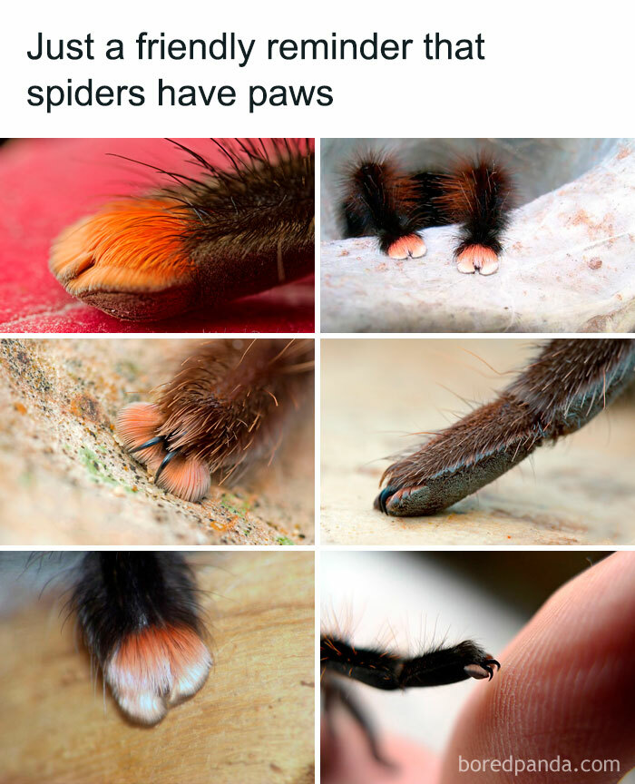 50 Wholesome Memes And Posts That Remind Us The World Isn’t All Bad 50 Wholesome Memes And Posts That Remind Us The World Isn’t All Bad