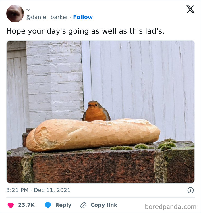 50 Wholesome Memes And Posts That Remind Us The World Isn’t All Bad 50 Wholesome Memes And Posts That Remind Us The World Isn’t All Bad