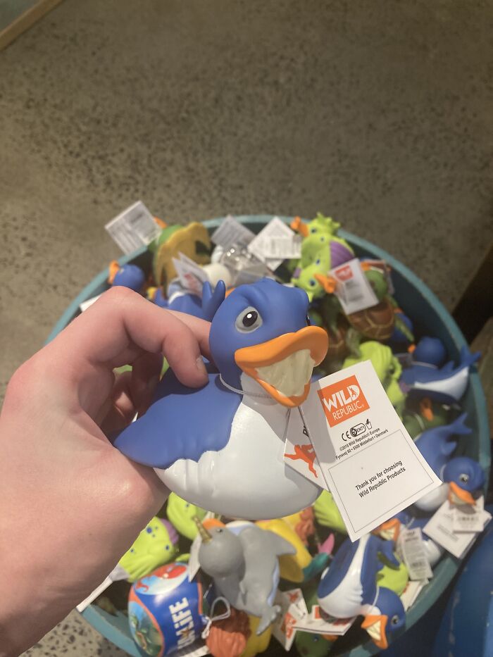 Hey Pandas, Show Me The Best Design Fails You’ve Found (Closed) Hey Pandas, Show Me The Best Design Fails You’ve Found (Closed)