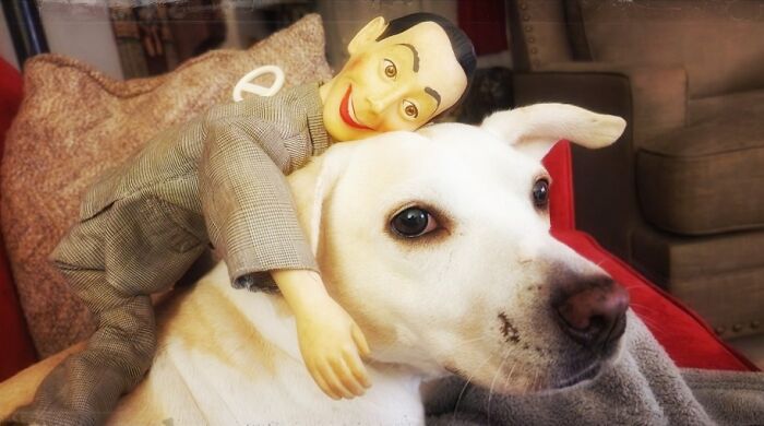 Hey Pandas, Show Off Your Adorable Pups For International Dog Day (Closed) Hey Pandas, Show Off Your Adorable Pups For International Dog Day (Closed)