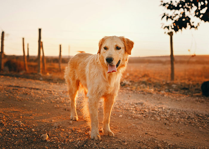 50 Things People Never Thought They’d Have To Explain To Another Adult 50 Things People Never Thought They’d Have To Explain To Another Adult