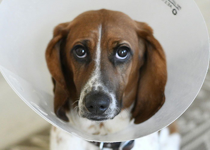 50 Things People Never Thought They’d Have To Explain To Another Adult 50 Things People Never Thought They’d Have To Explain To Another Adult