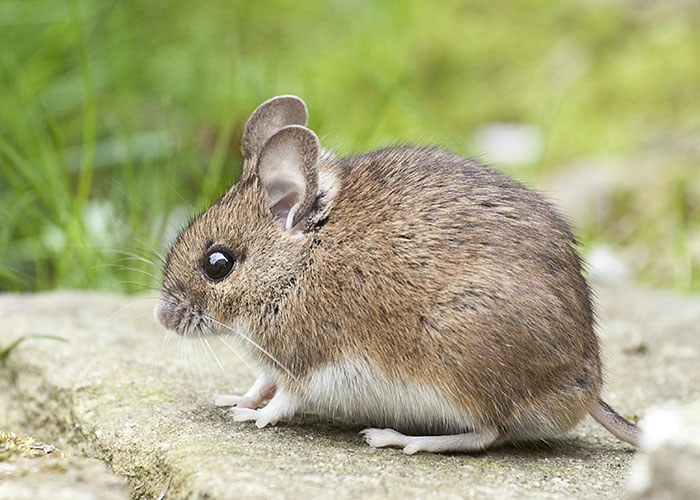 50 Things People Never Thought They’d Have To Explain To Another Adult 50 Things People Never Thought They’d Have To Explain To Another Adult