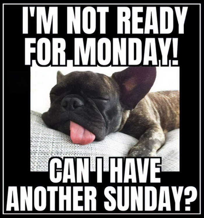 30 Sunday Memes For When You’re Not Ready To Face Monday 30 Sunday Memes For When You’re Not Ready To Face Monday