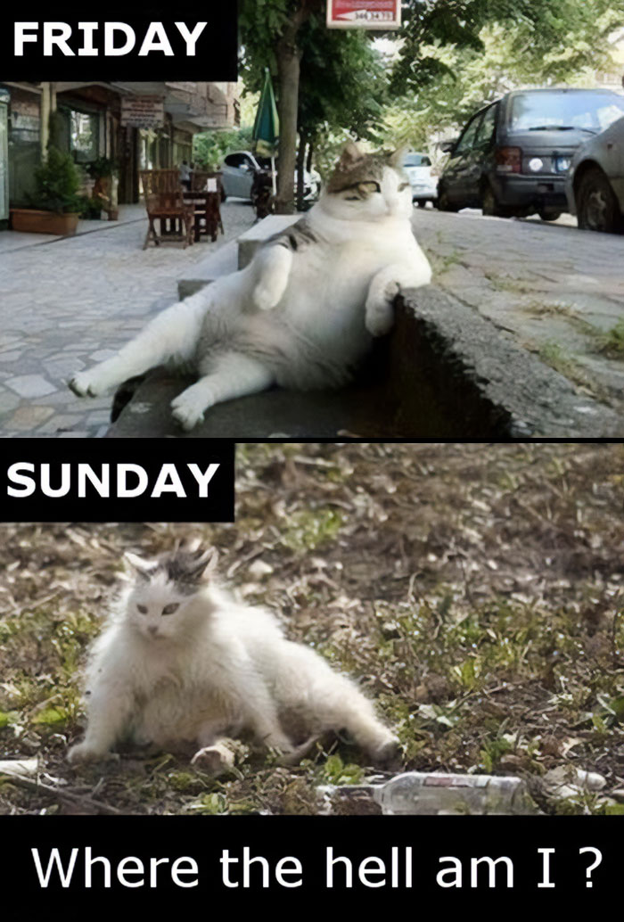 30 Sunday Memes For When You’re Not Ready To Face Monday 30 Sunday Memes For When You’re Not Ready To Face Monday