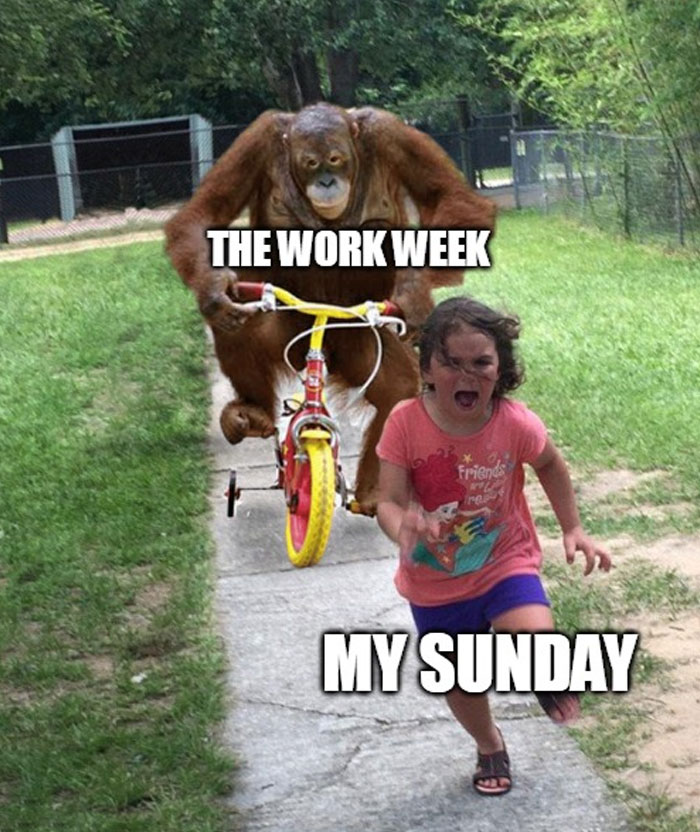 30 Sunday Memes For When You’re Not Ready To Face Monday 30 Sunday Memes For When You’re Not Ready To Face Monday