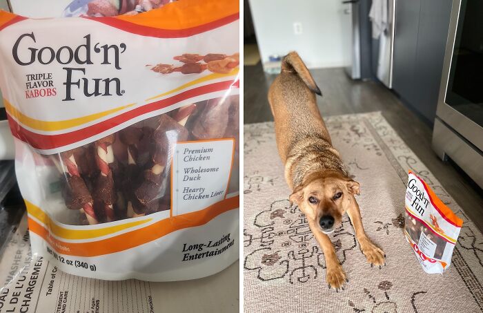 Your Pet Works Hard At Being Cute So Treat Them To These 18 Labor Day Deals Your Pet Works Hard At Being Cute So Treat Them To These 18 Labor Day Deals