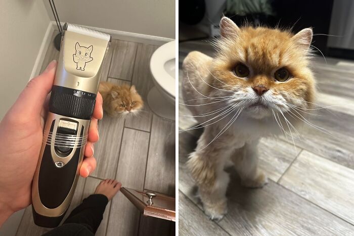 Your Pet Works Hard At Being Cute So Treat Them To These 18 Labor Day Deals Your Pet Works Hard At Being Cute So Treat Them To These 18 Labor Day Deals