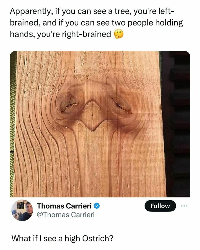 45 Ridiculously Funny Memes To Scroll Through When You’re Having One Of Those Days 45 Ridiculously Funny Memes To Scroll Through When You’re Having One Of Those Days