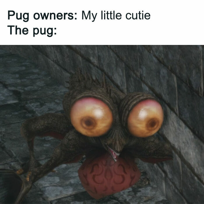 45 Ridiculously Funny Memes To Scroll Through When You’re Having One Of Those Days 45 Ridiculously Funny Memes To Scroll Through When You’re Having One Of Those Days