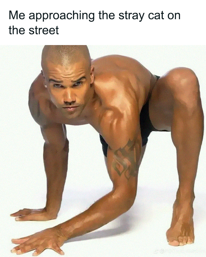 45 Ridiculously Funny Memes To Scroll Through When You’re Having One Of Those Days 45 Ridiculously Funny Memes To Scroll Through When You’re Having One Of Those Days