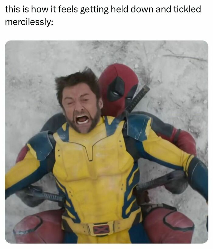 45 Ridiculously Funny Memes To Scroll Through When You’re Having One Of Those Days 45 Ridiculously Funny Memes To Scroll Through When You’re Having One Of Those Days